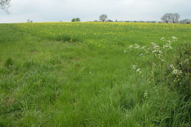 Field to the west of Duntisbourne Leer. Much of this grid square is farmland, this field is to the north side of Crabtree Lane.