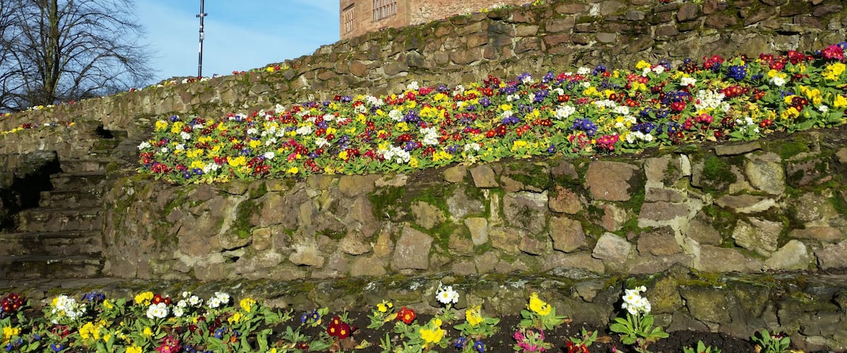 Tamworth is a large market town in Staffordshire, England, northeast of Birmingham.