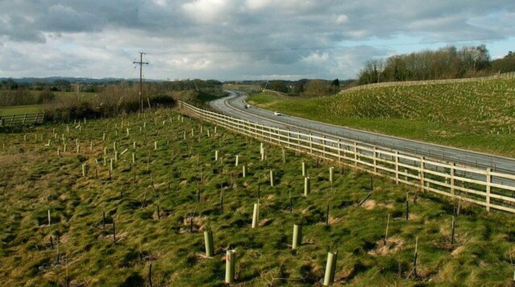 Nesscliffe bypass. Nesscliffe bypass north with pedestrian footbridge in the distance