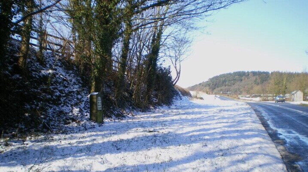 The Great Ness milestone in its setting. Details of this milestone are visible in 1720298.