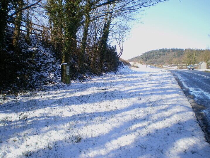 A snow-covered road with trees and a clear sky.