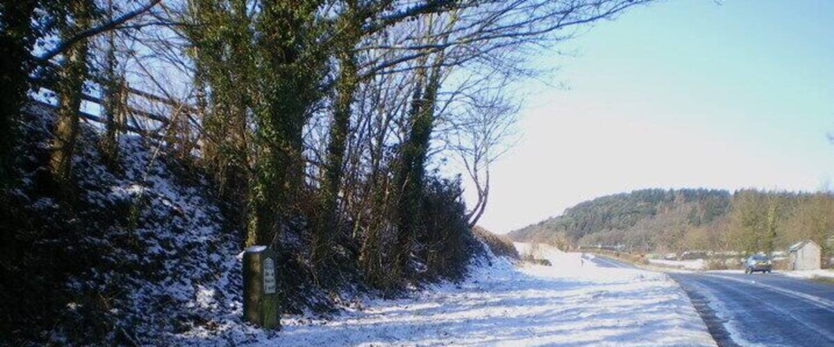 A snow-covered road with trees and a clear sky.