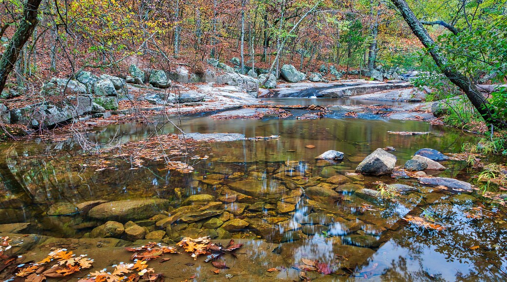 ๋ธ๋ฃธ์ค๋ฐ์ผ