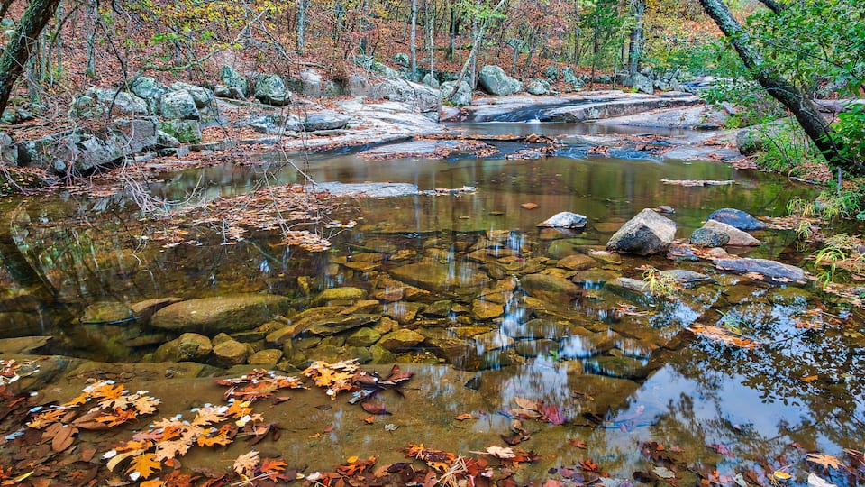 A clear stream with rocks and autumn leaves.