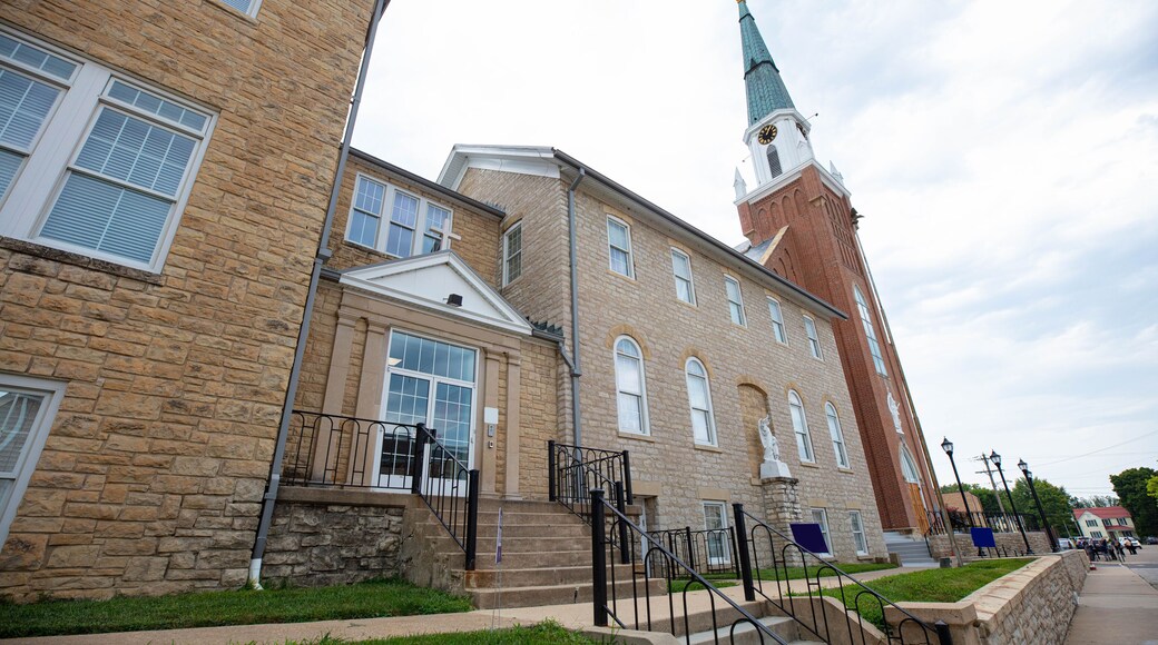 ๋ธ๋ฃธ์ค๋ฐ์ผ