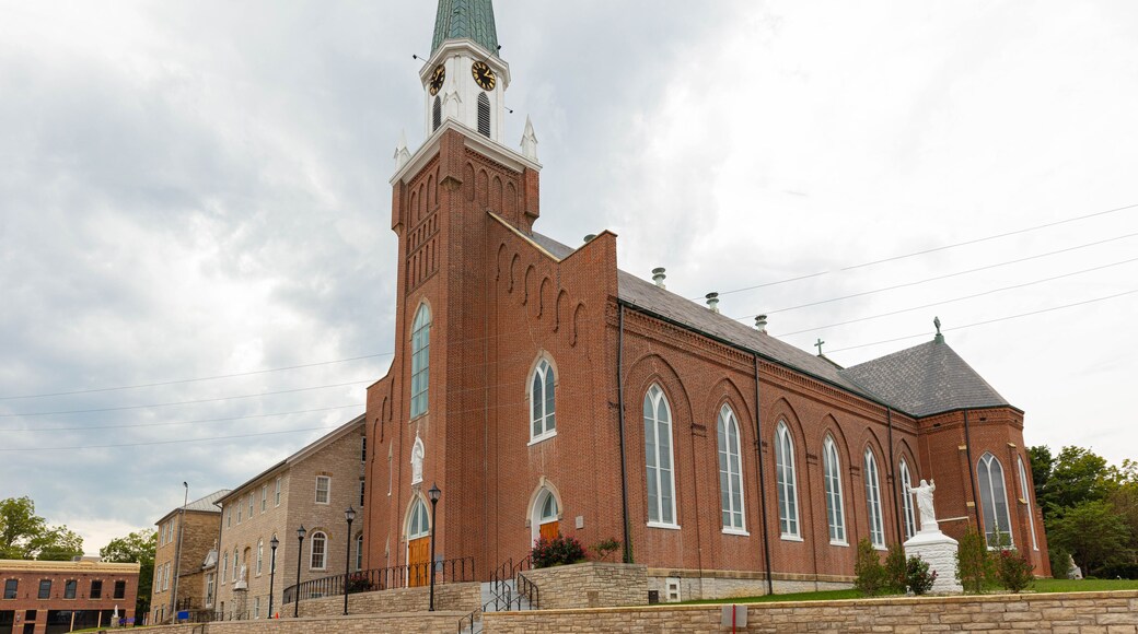 ๋ธ๋ฃธ์ค๋ฐ์ผ