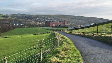 A rural road curving through a green field with a red building in the distance.