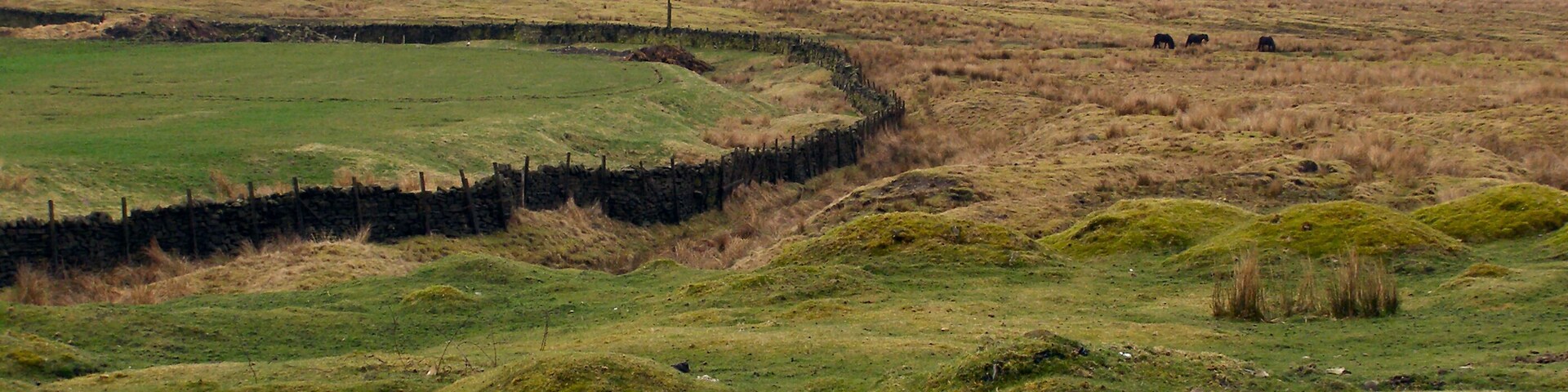 View towards Brownhill From the moorland track near to Lobden Golf Club.