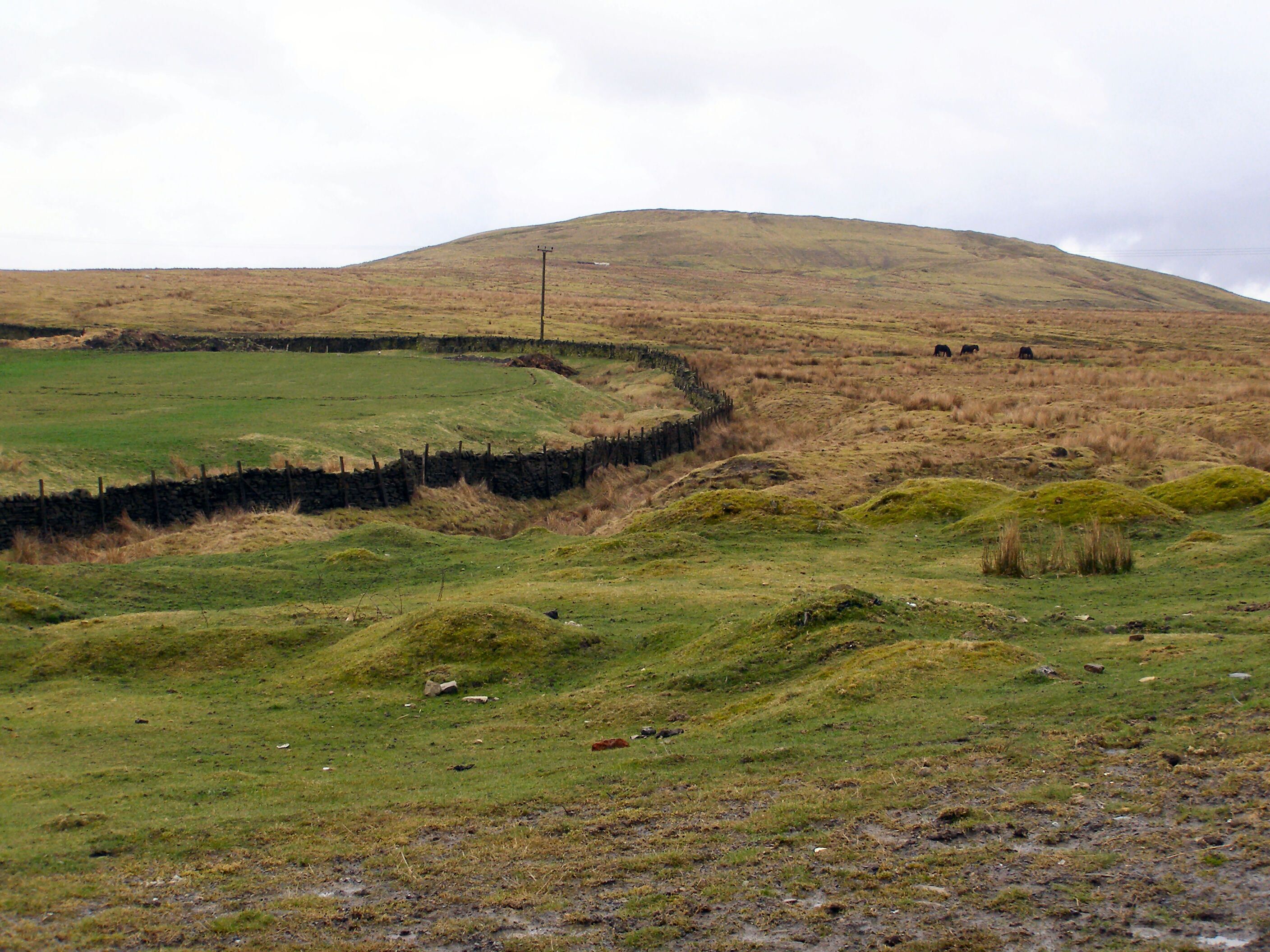 A hilly landscape with a stone wall, green fields, and a few cows grazing.