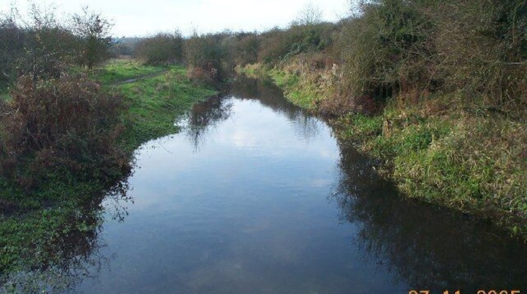 River Gade, Croxley Common Moor. Viewed looking south westwards and downstream, the Grand Union Canal is just beyond the bushes on the right.