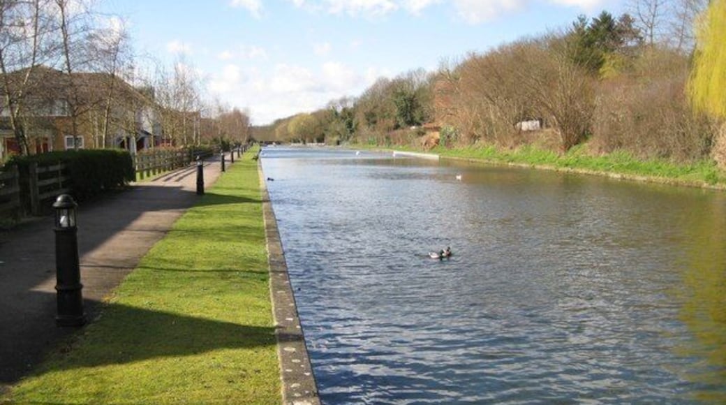Grand Union Canal near Croxley Green. The canal upstream of Common Moor Lock is very broad. This view was taken looking in the opposite direction to 84443, with the residential development on the former Dickinson paper mill site on the left.