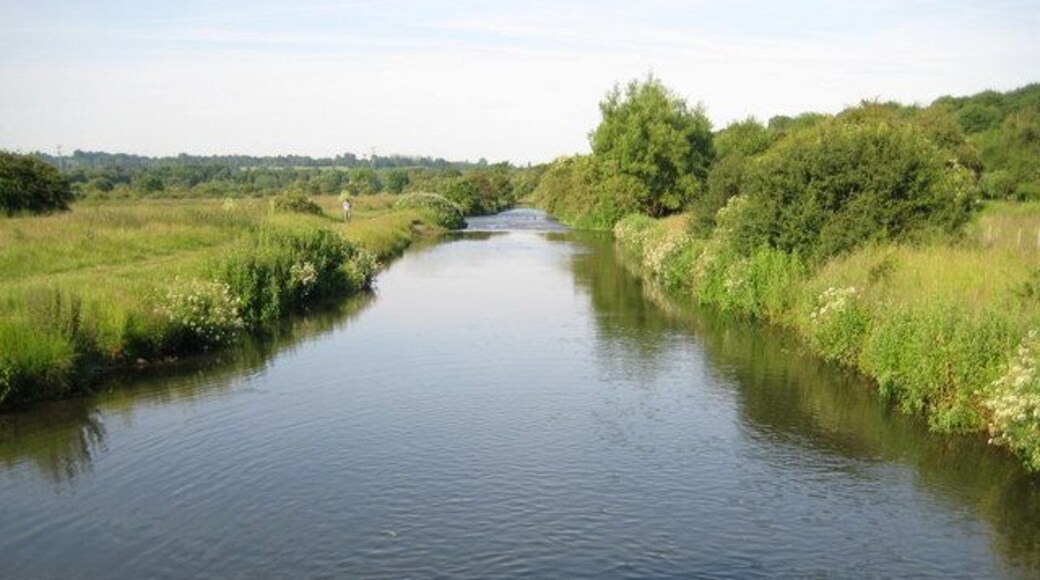 River Gade through Croxley Common Moor Viewed looking downstream with Croxley Common Moor to the left, the Grand Union Canal and the river run parallel to one another here and the canal is just beyond the hedge to the right.