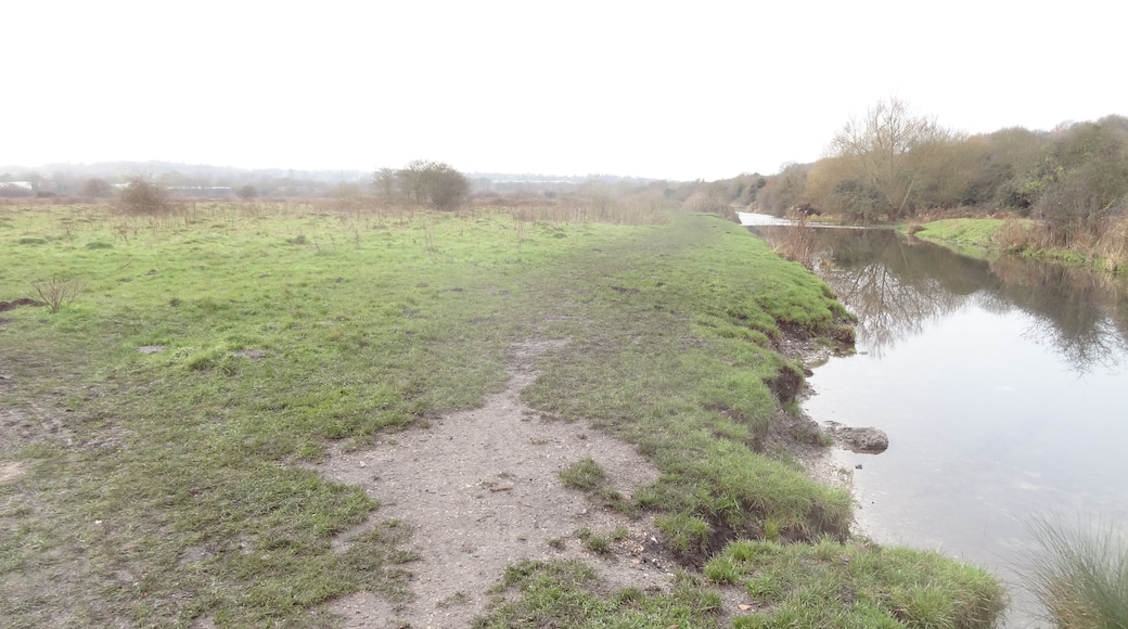 Croxley Common Moor in Croxley Green, Hertfordshire