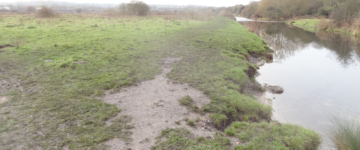 Croxley Common Moor in Croxley Green, Hertfordshire