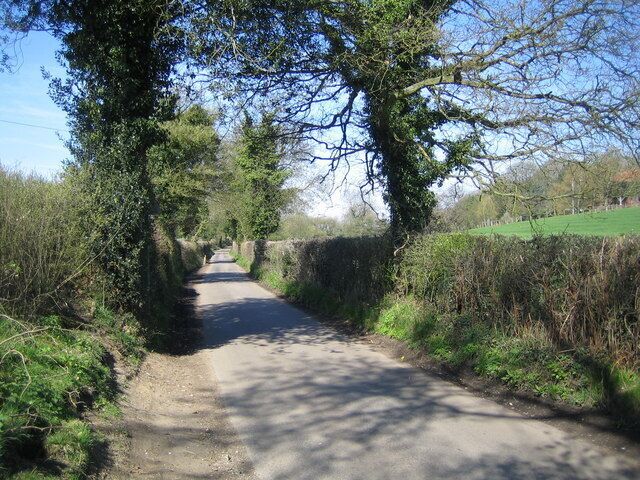 Belsize: Flaunden Lane Looking towards Flaunden village.