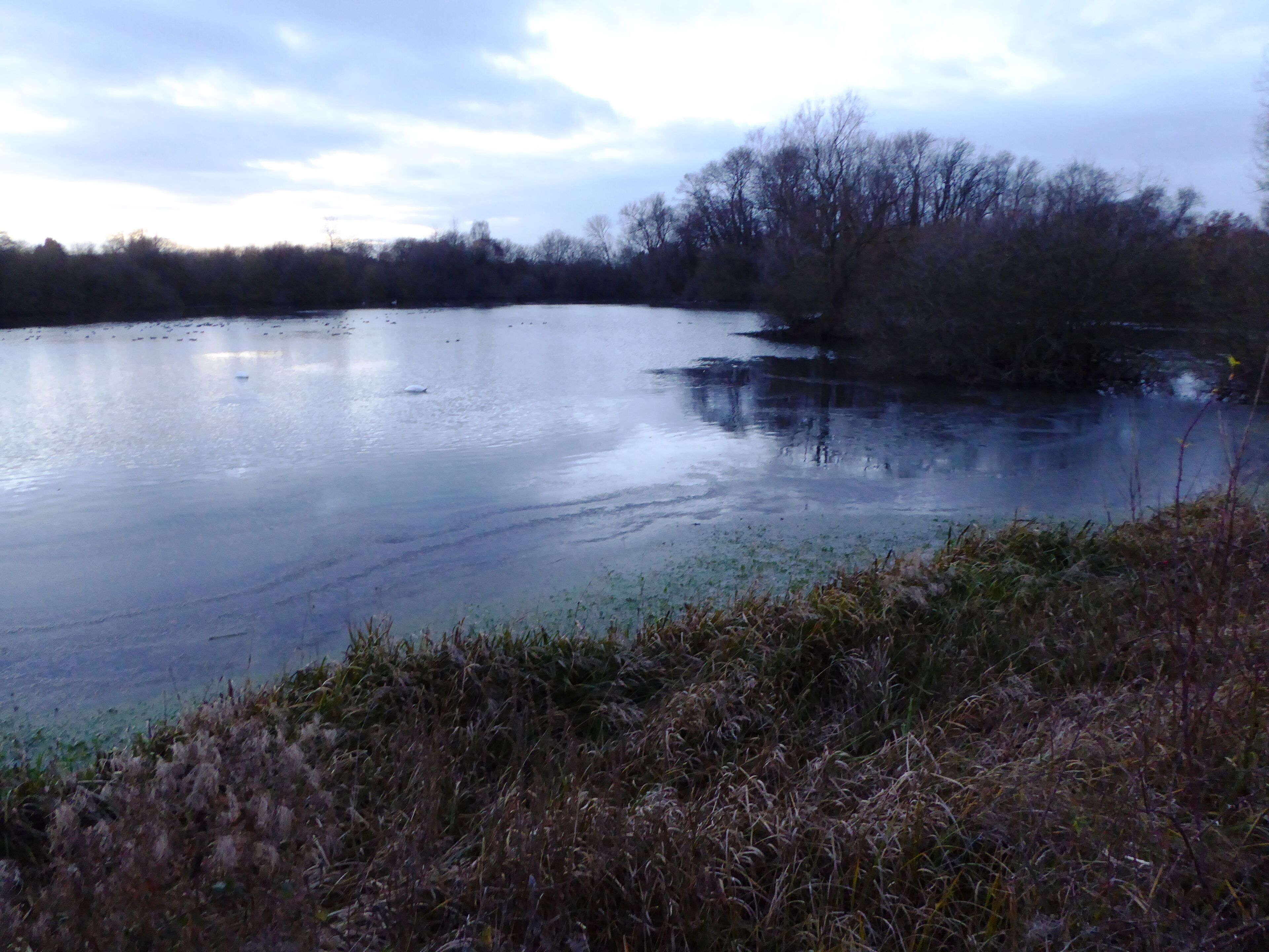 Barrow Gravel Pits is a Site of Special Scientific Interest in Barrow upon Soar in Leicestershire.