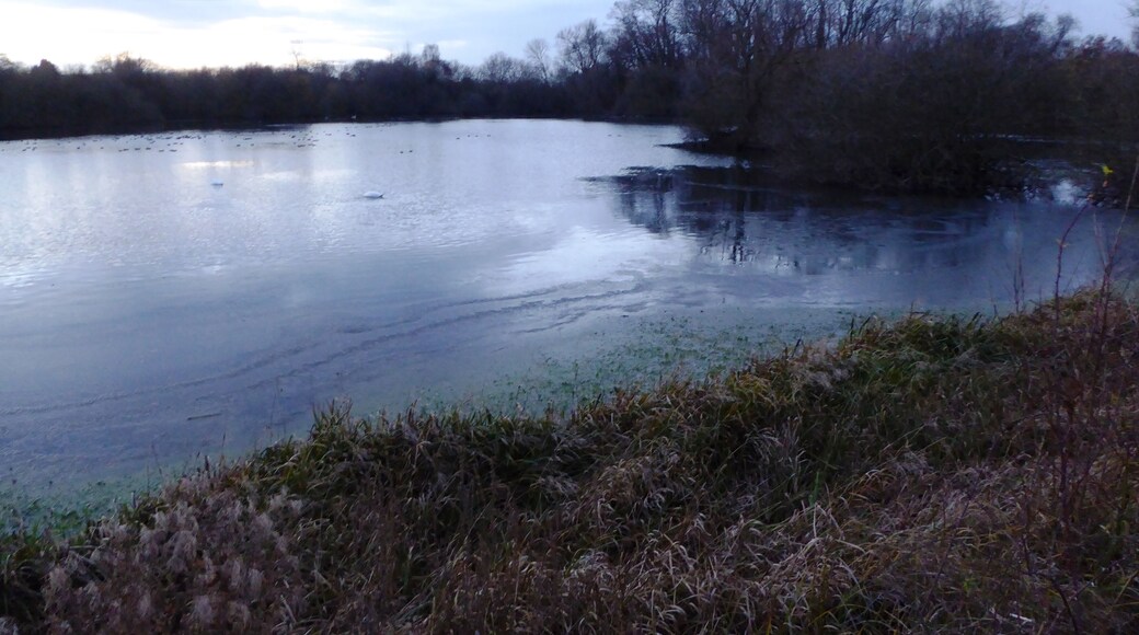 Barrow Gravel Pits is a Site of Special Scientific Interest in Barrow upon Soar in Leicestershire.