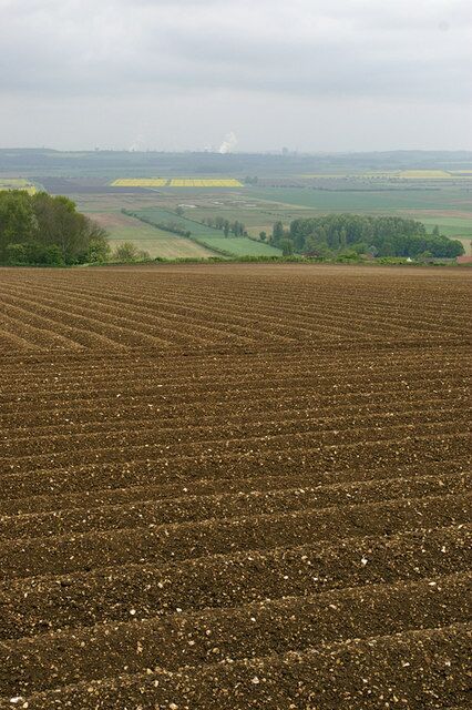 Un extenso campo agrícola con hileras de cultivos bajo un cielo nublado.