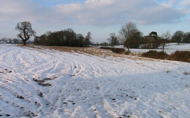 A snow-covered field with a single tree and distant buildings.