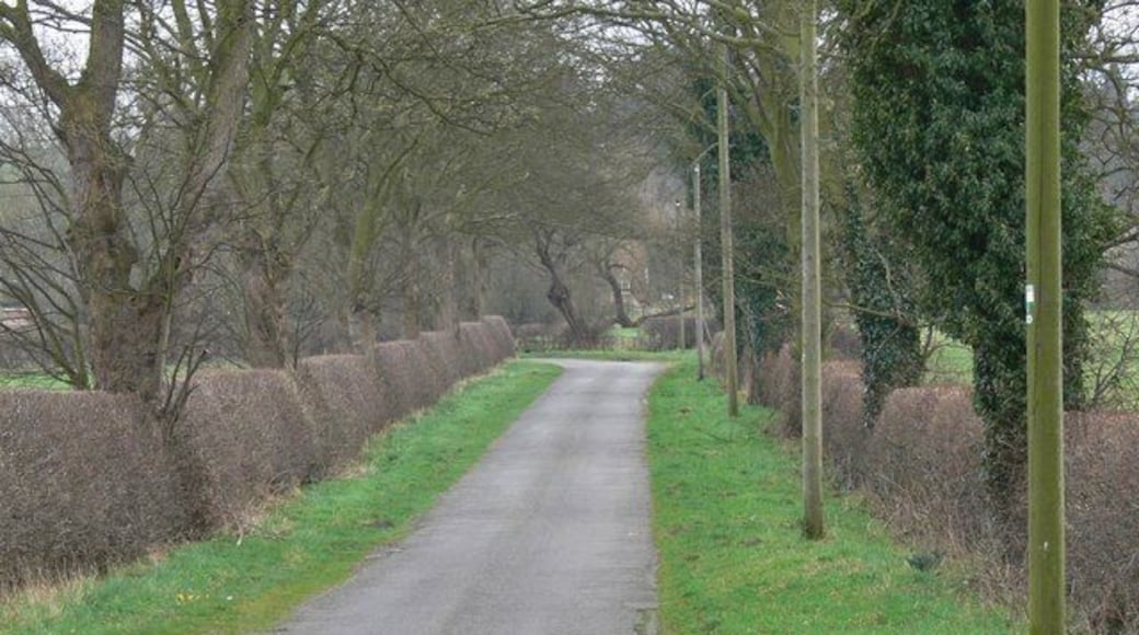 Mill Lane near Brooksby in Leicestershire