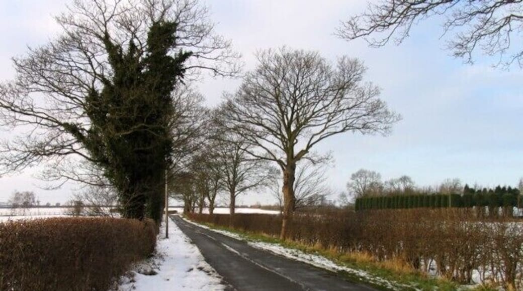 Mill Lane towards Hoby