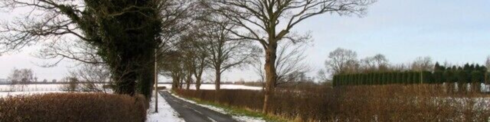 Un camino rural con nieve a los lados, rodeado de árboles y campos.