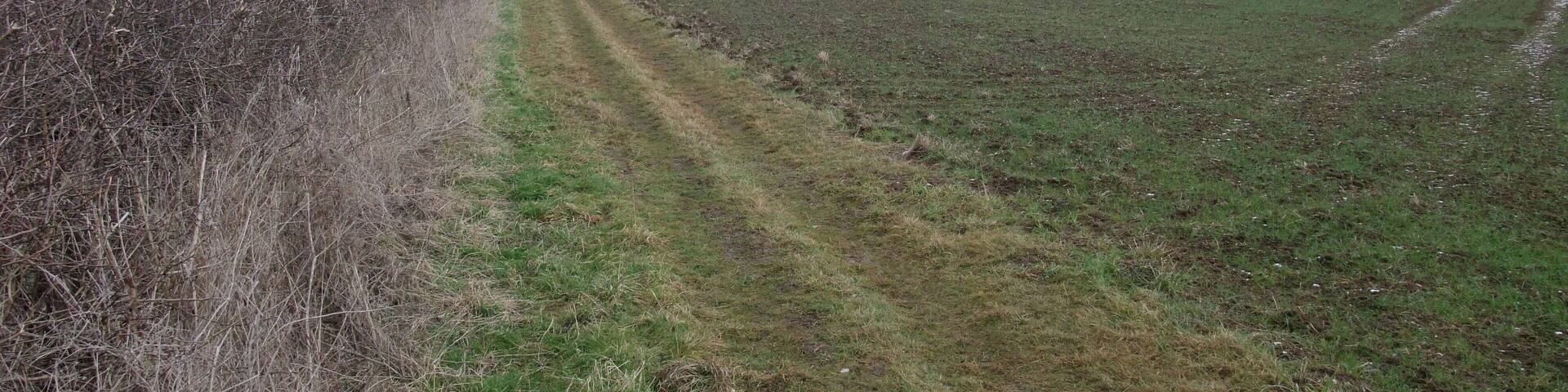 Rutland Round, east from Barrowden Heading towards Welland Spinney (wood right of centre), which sits on a large bend in the Welland