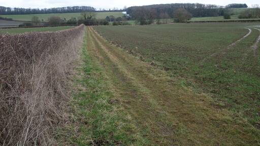 Rutland Round, east from Barrowden Heading towards Welland Spinney (wood right of centre), which sits on a large bend in the Welland