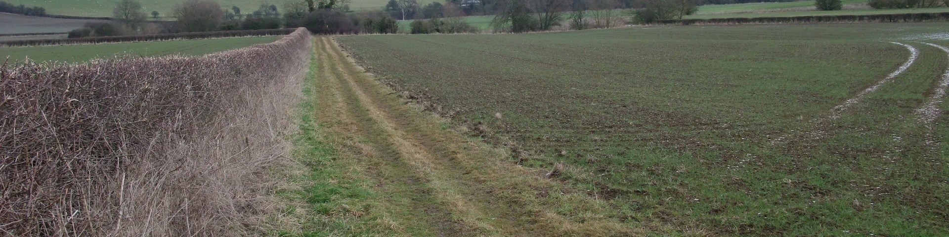 Rutland Round, east from Barrowden Heading towards Welland Spinney (wood right of centre), which sits on a large bend in the Welland
