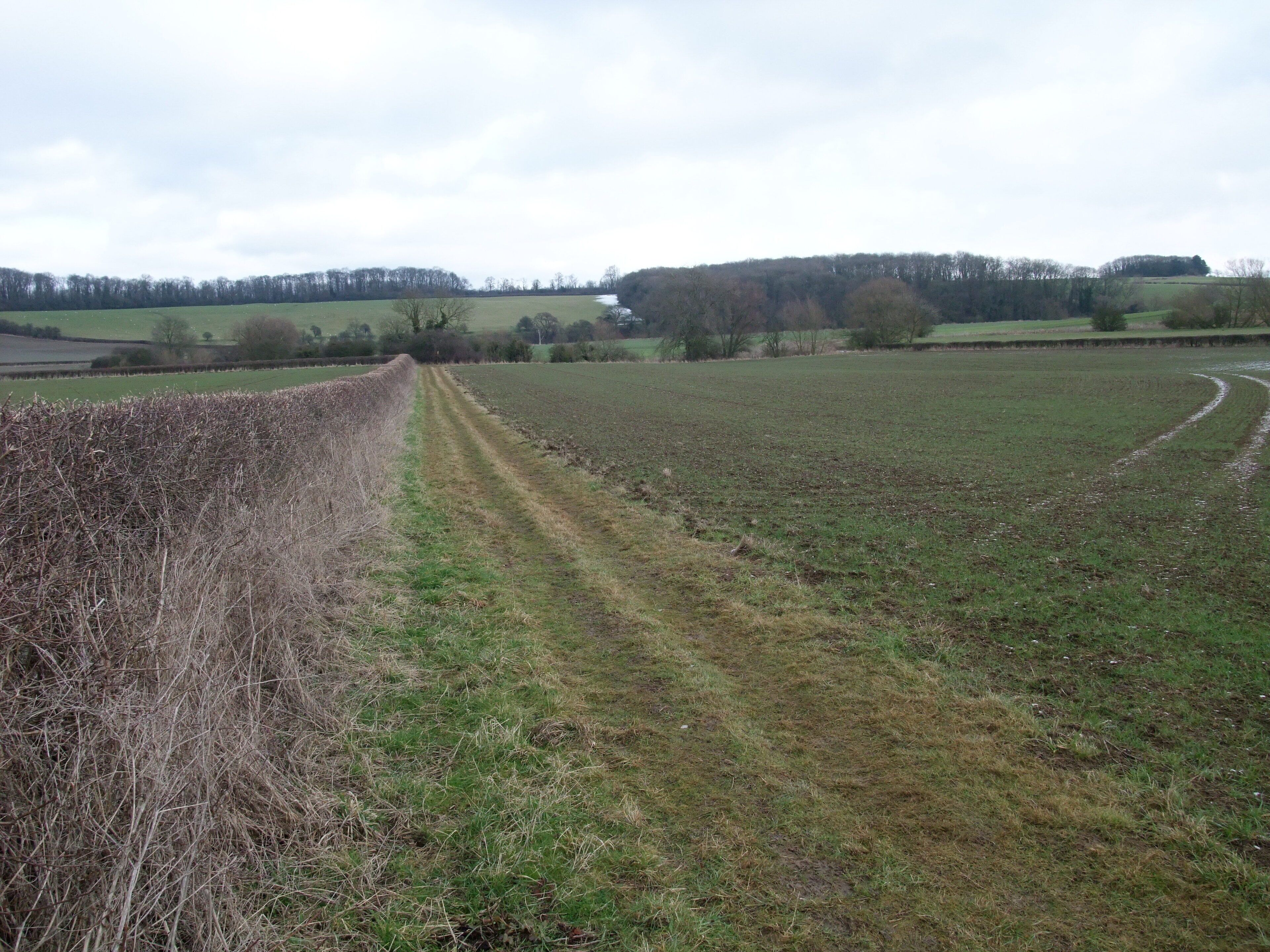 A rural landscape with a field, a hedge, and a distant hill.