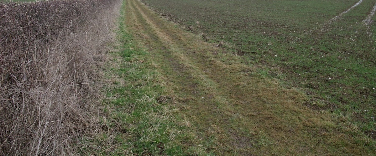 A rural landscape with a field, a hedge, and a distant hill.