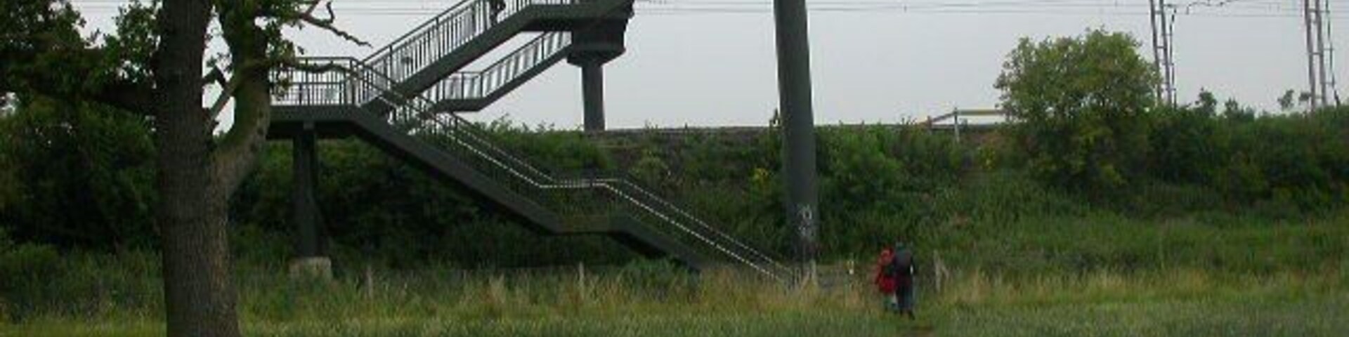 Una escalera de metal que sube a una plataforma, rodeada por un campo cubierto de hierba y un árbol.