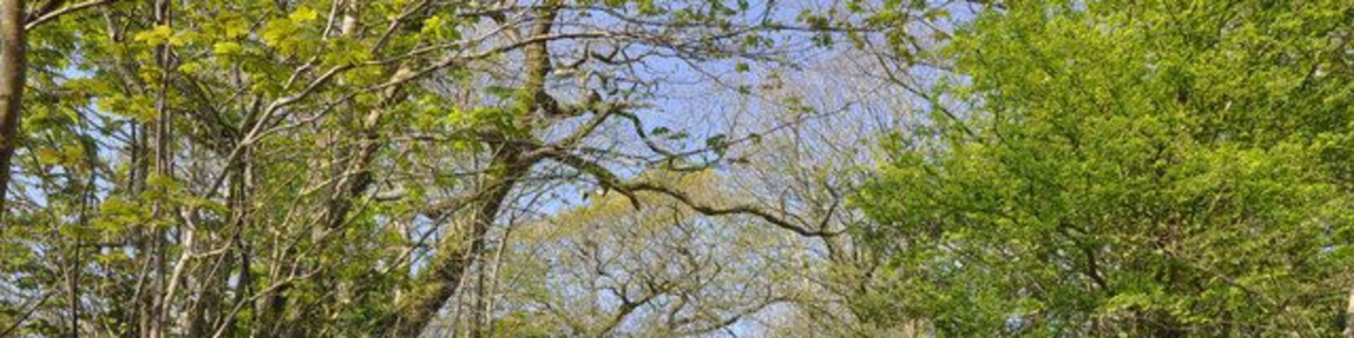 Lane - north east Pont-newydd