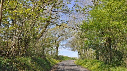 Lane - north east Pont-newydd