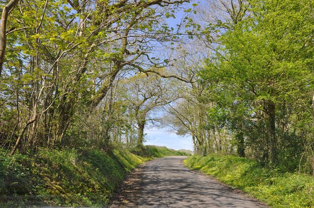 A narrow country road flanked by lush greenery and trees.