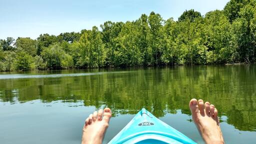 Beautiful , quiet cove on Tablerock lake next to Cape Fair Marina. Best Bass and Crappie fishing around.#LifeAtExpedia