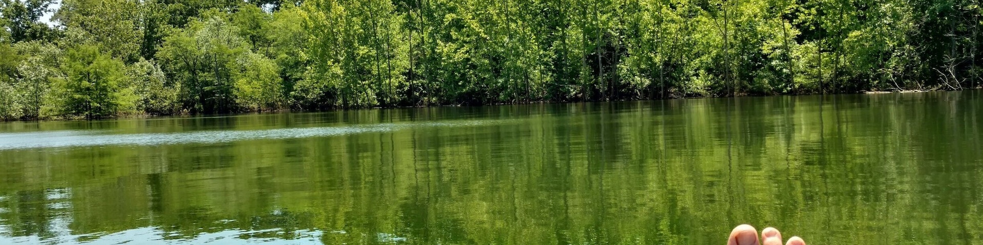Beautiful , quiet cove on Tablerock lake next to Cape Fair Marina. Best Bass and Crappie fishing around.#LifeAtExpedia