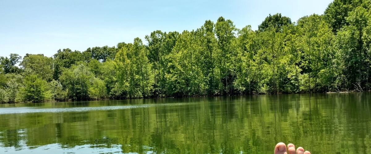 A kayak on calm water with a forested shoreline.