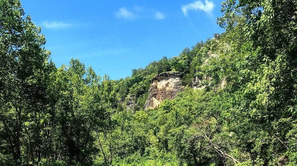 Such a pretty section of the River. Climbing options near by.
#river #Missouri #roadtrip #hiking #fishing