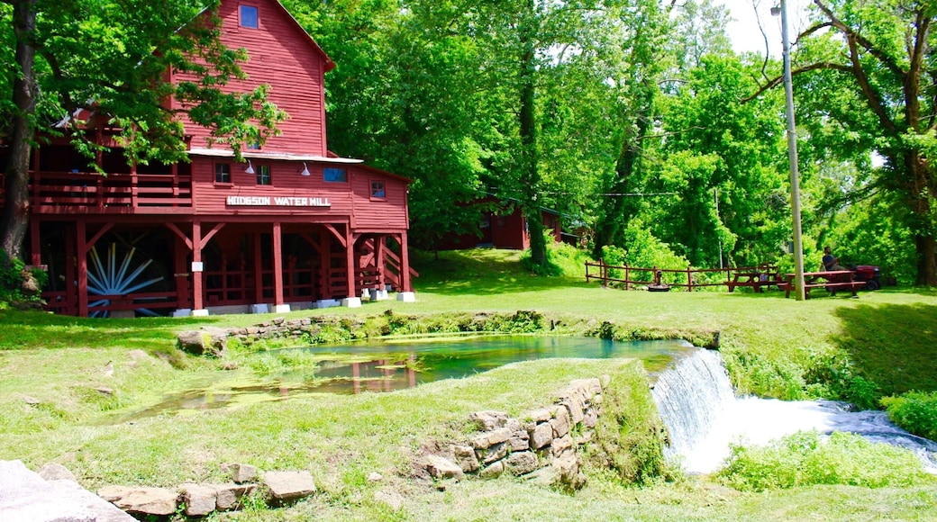 I had been seeing this mill pop up on Facebook and discovered that it was only about an hour away! Such a beautiful spot. There are picnic tables, bridges and trails. People swim in the water as well! A true gem tucked away in the Ozark mountains!
Hodgson Water Mill, only a few minutes away through famous Ozark County scenery. From Dawt, return to PP Hwy. and turn left on PP to H Hwy. Turn left on H and go north to Hwy. 181. Turn left again on Hwy. 181 to Hodgson Mill.
Built in 1861 to harness the power of a massive spring flowing into Bryant Creek and rebuilt in 1897, the tall, three-story frame building nestles against a bluff of the Bryant. Though the mill no longer grinds grain, it still houses the old milling machinery. (The nationally distributed line of stone-ground bakery products bearing the Hodgson name is now produced at a modern mill in nearby Gainesville.)
The spring still spews nearly 3,000,000 gallons of clear, cold water a day. Besides the mill, it once powered a cotton gin, a lumber mill, and a clothing factory. In pre-REA days, the power of the water also generated electricity for all the mill-site enterprises. And, once upon a time, thanks to the constant 58 degree temperature of the spring, the mill was a popular site for neighborhood dances.
Issuing from the bluff under the mill building, the spring is still picturesque. It nourishes native ferns and mosses clinging to crevices in the sheer rock wall. Some of the water is diverted to the mill pond, where watercress and other marine plants thrive. Inside the mill building, an opening to a cave in the face of the bluff provides natural air conditioning.
A modern day facility in nearby Gainesville, MO is still producing and distributing the all natural stone ground flours of the past under the Hodgson Mill name.
#LIFEATEXPEDIA #WATERMILL #LOCALSIGHTS #OZARKMOUNTAINS #IHEARTTHEOZARKS