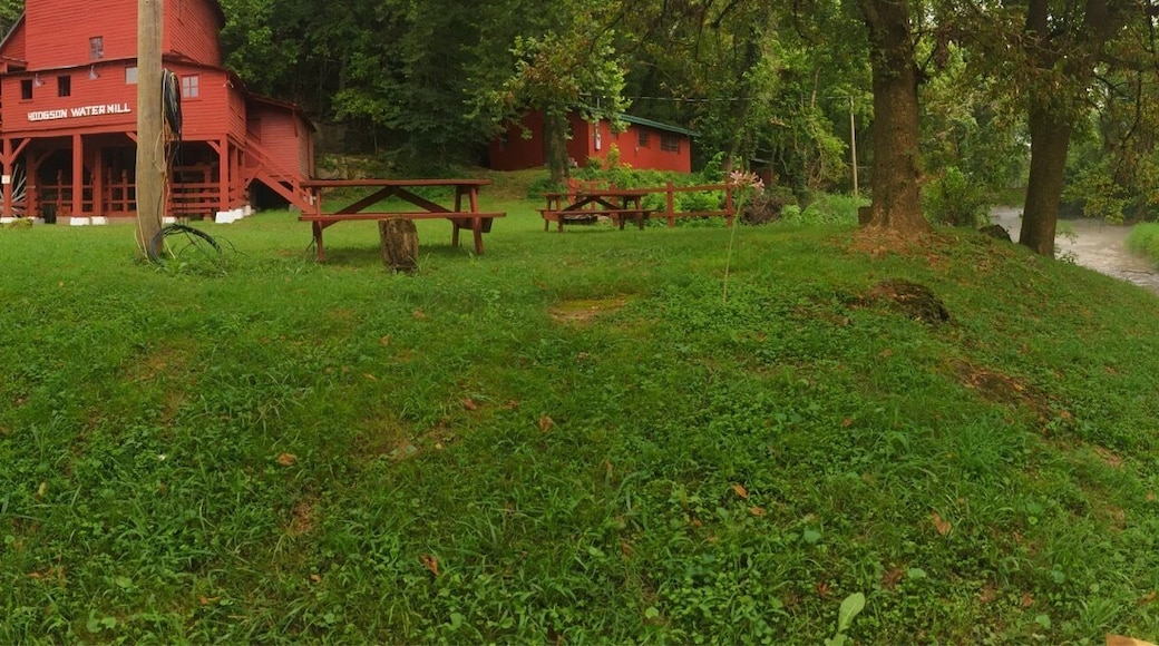 Hodgson Water Mill in Dora, MO. One of my favorite places. Hodgson Mill products (flour, cornmeal, etc) are still sold in stores too! #mill #spring #missouri