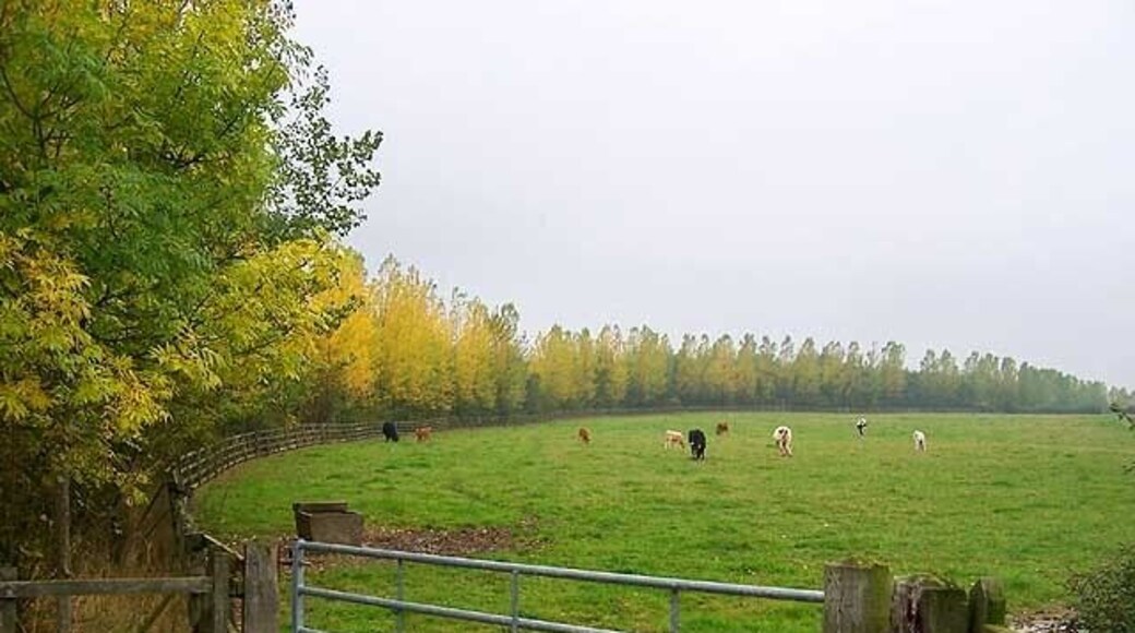Mapperley Park. A small cluster of buildings where there used to be a brickyard is all that remains at the area known as Mapperley Park. This view across the field flanked by a row of trees is westwards from the rear of those buildings towards the site of the former Mapperley Colliery. At one time a tramway ran across here from Mapperley Park to the colliery but it is now all farmland.