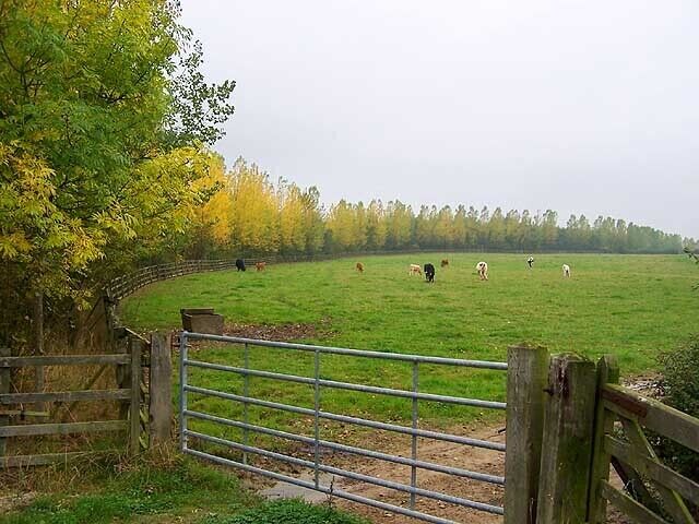 A rural landscape with a fenced field, trees, and a wooden gate.