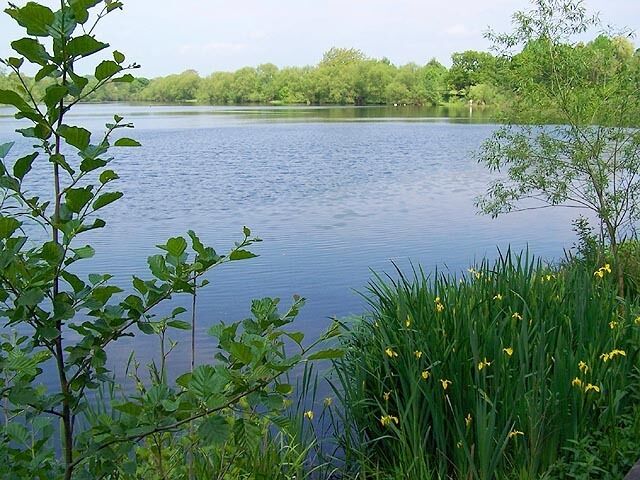 Mapperley Reservoir. This was once used to feed the canal and is now a haven for wildlife. Well used by local anglers.