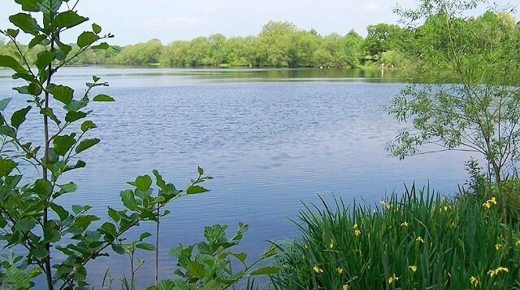 Mapperley Reservoir. This was once used to feed the canal and is now a haven for wildlife. Well used by local anglers.