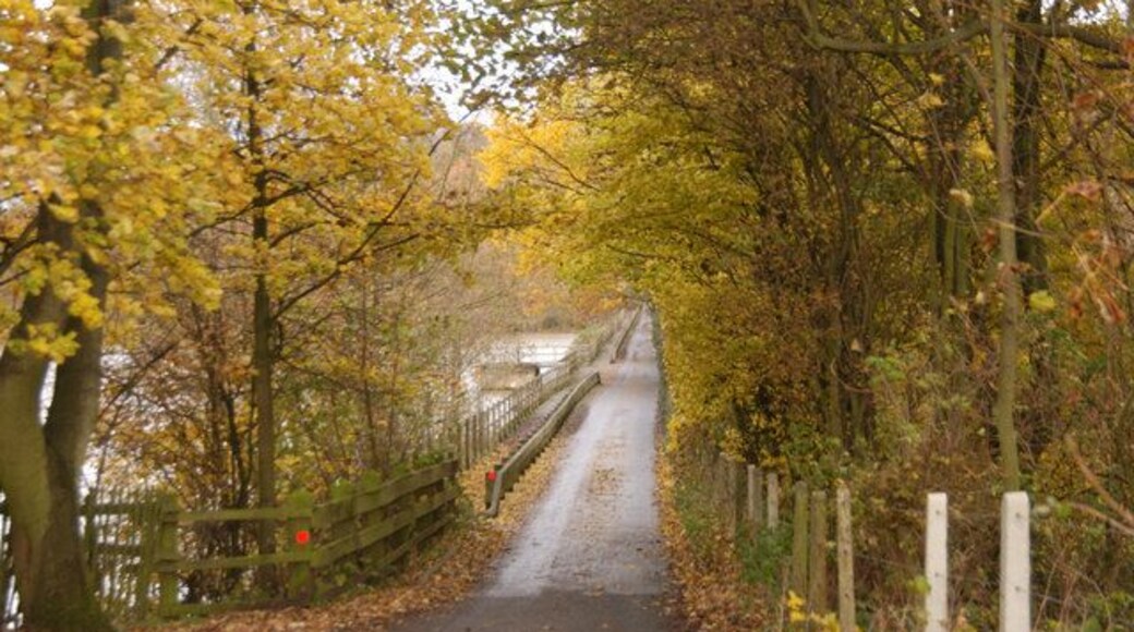 Shipley Lane Mapperley Autumn day by the reservoir