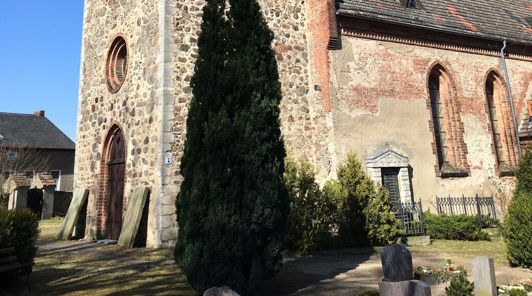 Die Dorfkirche in Buchholz ist eine Feldsteinkirche, die vermutlich in der Zeit um1300 entstand. Sie steht in Altlandsberg im Landkreis Märkisch-Oderland in Brandenburg. Im Innern befindet sich unter anderem ein Altaraufsatz aus dem Anfang des 18. Jahrhundert.