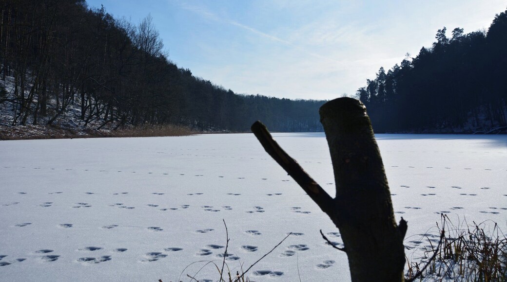 Gr Lottsee, Märkisch Oderland