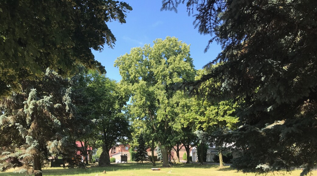 Dorfanger von Buchholz, einem Ortsteil der Stadt Altlandsberg im Land Brandenburg