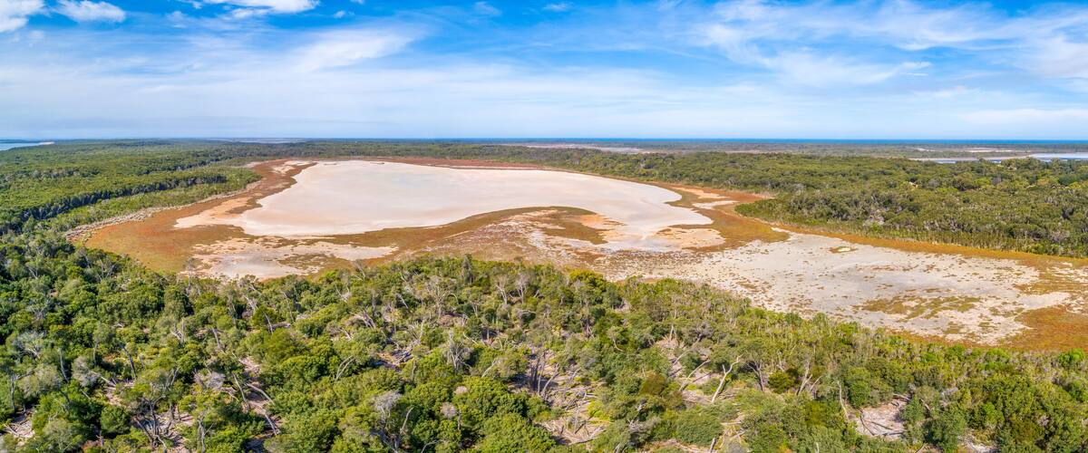 A large salt flat surrounded by dense forest and a distant body of water.